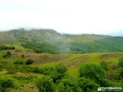 Corazón de Picos de Europa;flor de cerezo viajes trujillo sierra del rincon rio lobos la mesta la m